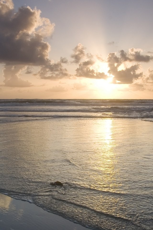 Обои берег, закат, море, волна, прибой, shore, sunset, sea, wave, surf разрешение 1920x1080 Загрузить