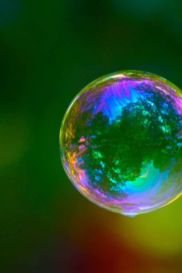 Обои зелёный, цвет, пузырь, green, color, bubble разрешение 2560x1600 Загрузить