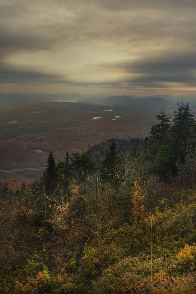 Обои лес, грусть, осень, forest, sadness, autumn разрешение 1920x1440 Загрузить