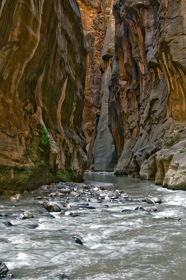 Обои река, камни, скала, ущелье, river, stones, rock, gorge разрешение 1920x1200 Загрузить