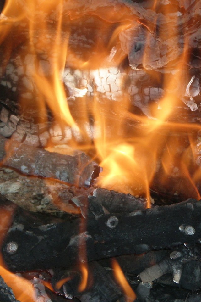 Обои пламя, огонь, костёр, поленья, flame, fire, the fire, logs разрешение 2560x1600 Загрузить