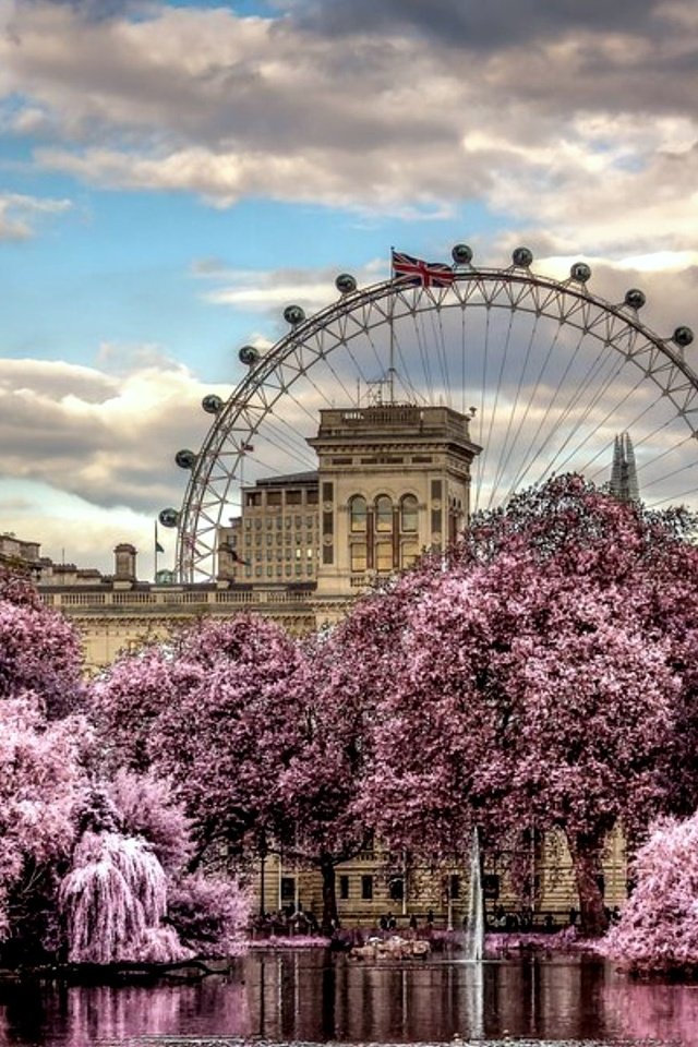 Обои цветы, облака, деревья, колесо обозрения, весна, красиво, flowers, clouds, trees, ferris wheel, spring, beautiful разрешение 2000x1333 Загрузить