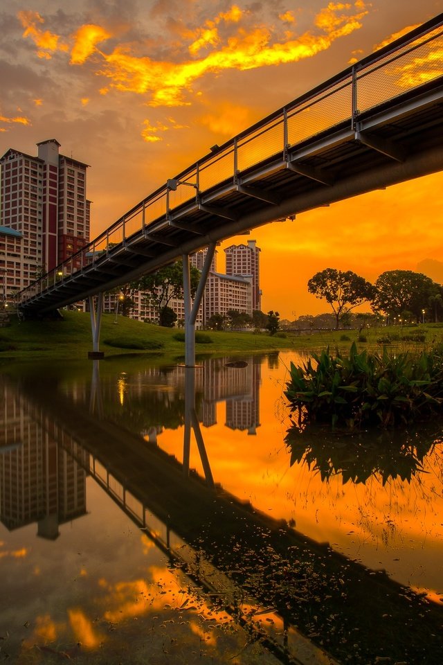 Обои закат, мост, сингапур, бишен парк, sunset, bridge, singapore, bishan park разрешение 2048x1446 Загрузить