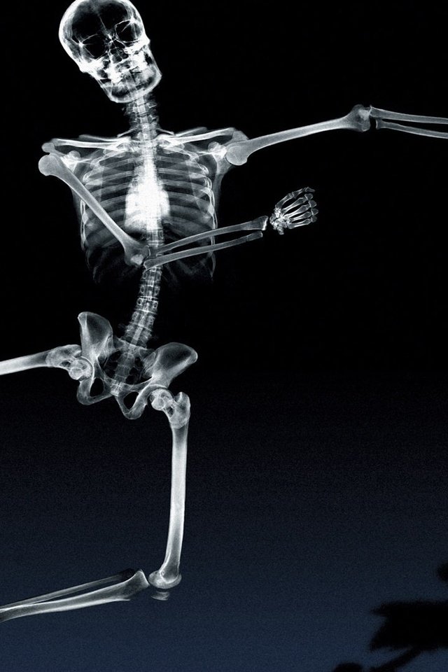Обои тень, рентген, кости, скелет, танцует, shadow, x-ray, bones, skeleton, dancing разрешение 1920x1080 Загрузить