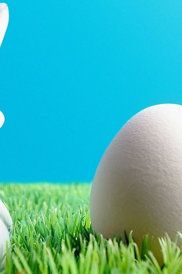 Обои заяц и пасхальное яйцо, bunny and easter egg разрешение 2560x1440 Загрузить