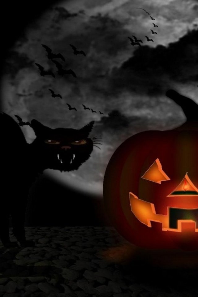 Обои тыквы и кот на фоне луны, pumpkin and cat on moon background разрешение 2560x1440 Загрузить
