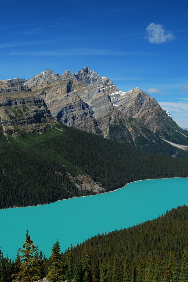 Обои озеро, горы, лес, пейзаж, канада, национальный парк банф, peyto lake, пейто, lake, mountains, forest, landscape, canada, banff national park, peyto разрешение 2560x1600 Загрузить