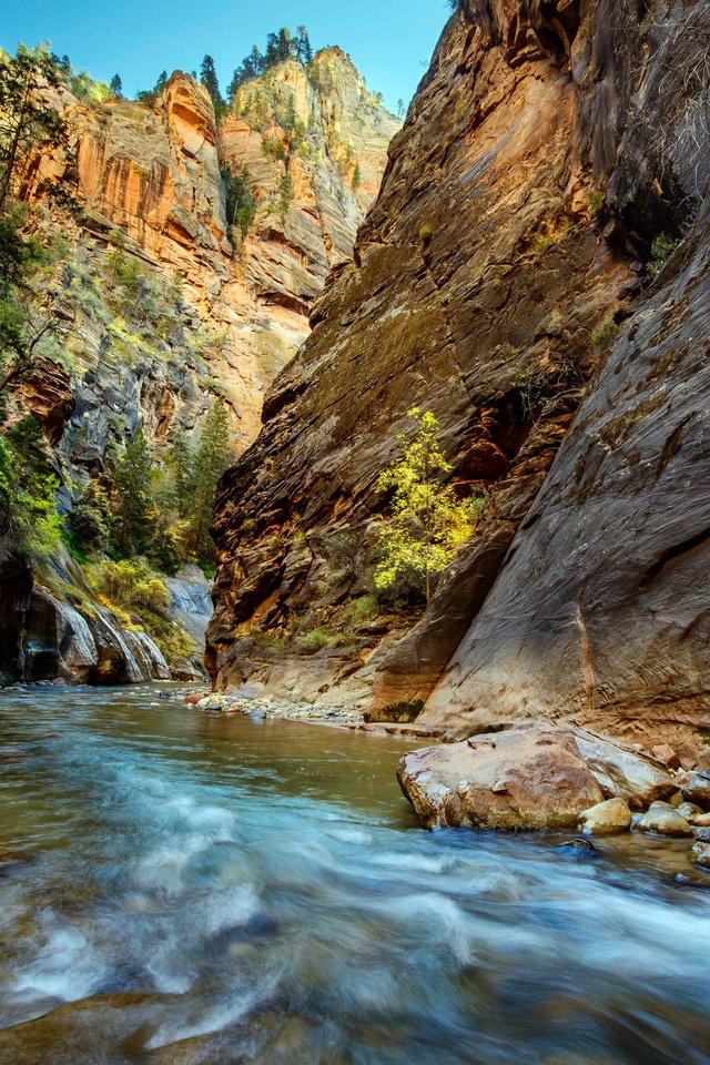 Обои река, скалы, ущелье, zion national park, river, rocks, gorge разрешение 6393x4751 Загрузить