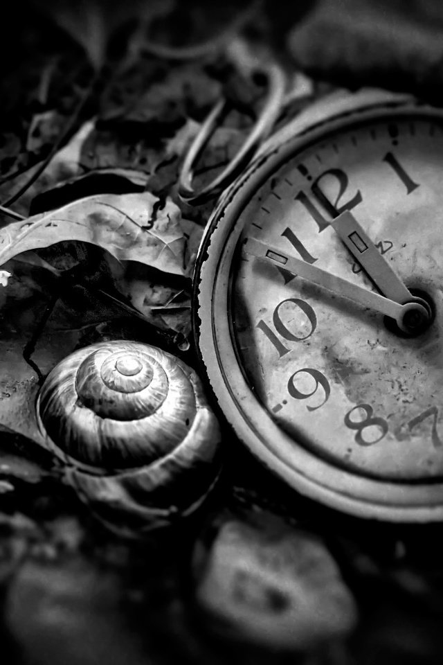 Обои чёрно-белое, часы, время, циферблат, black and white, watch, time, dial разрешение 2048x1366 Загрузить