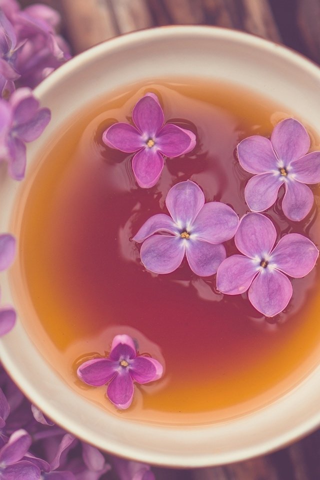 Обои цветы, настроение, кружка, чай, сирень, flowers, mood, mug, tea, lilac разрешение 1920x1200 Загрузить