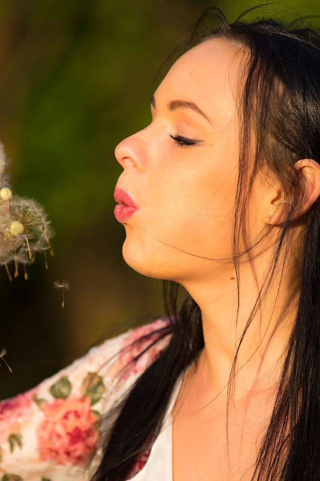 Обои цветы, брюнетка, модель, лицо, кети, одуванчик, flowers, brunette, model, face, katie, dandelion разрешение 5416x3480 Загрузить