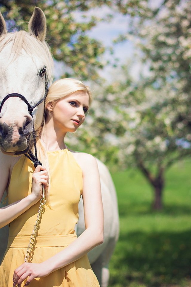 Обои лошадь, платье, блондинка, сад, horse, dress, blonde, garden разрешение 1920x1200 Загрузить