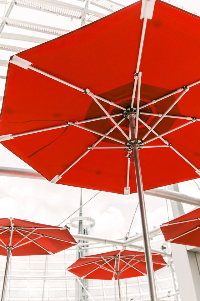 Обои красный, зонт, зонтик, краcный, зонты, зонтики, umbeella, red, umbrella, umbrellas разрешение 5760x3840 Загрузить