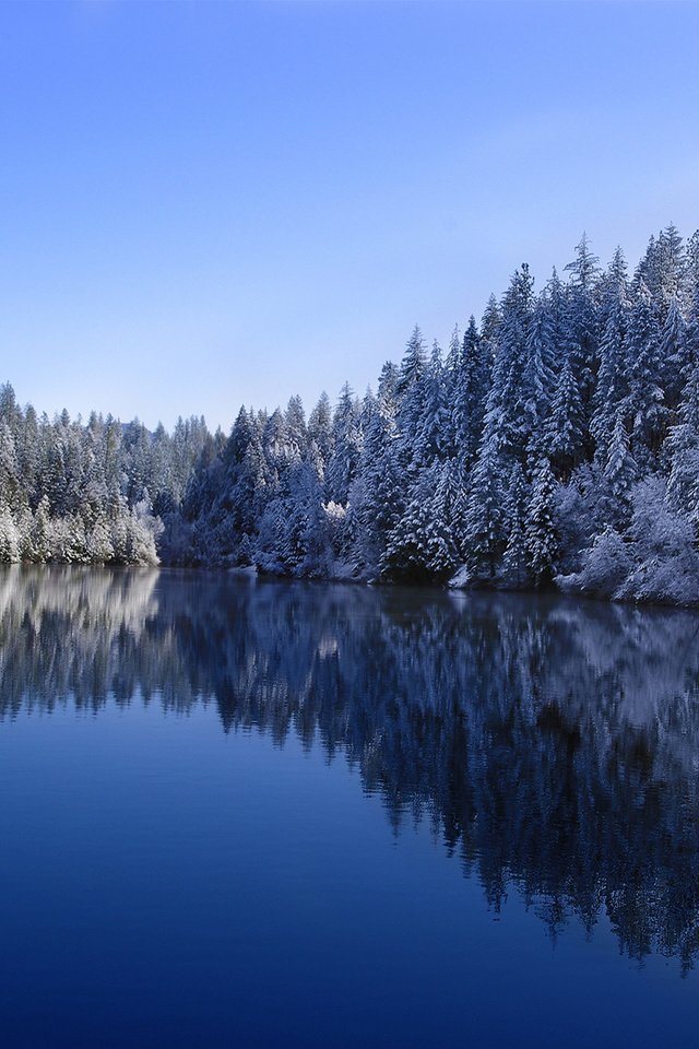 Обои небо, деревья, озеро, лес, зима, отражение, the sky, trees, lake, forest, winter, reflection разрешение 1920x1200 Загрузить