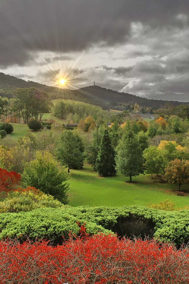 Обои пейзаж, осень, lofty botanic gardens, аделаида-хиллс, южная австралия, landscape, autumn, adelaide hills, south australia разрешение 2256x1496 Загрузить