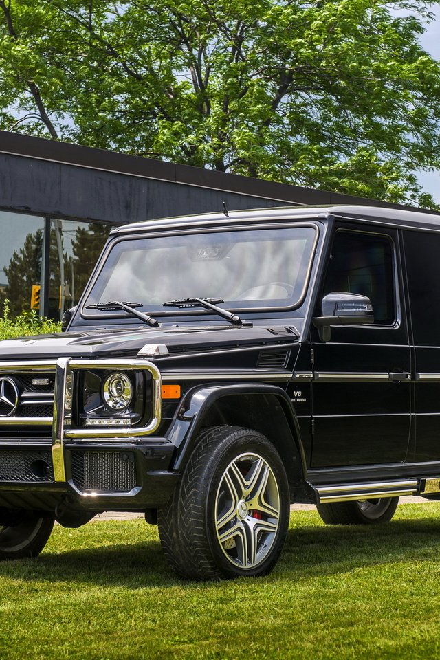 Обои мерседес, г-класс, амг, мерседес-бенц, inkas, w463, mercedes, g-class, amg, mercedes-benz разрешение 2560x1600 Загрузить