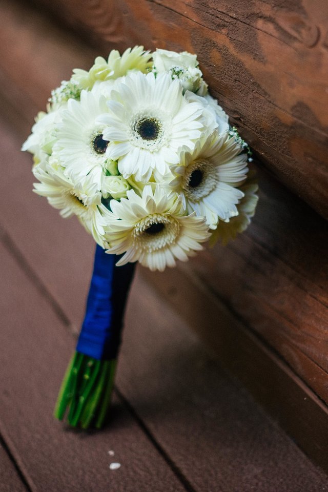 Обои цветы, букет, белые, герберы, свадебный, flowers, bouquet, white, gerbera, wedding разрешение 6016x4016 Загрузить