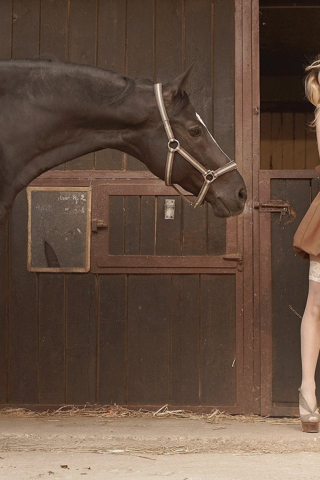 Обои лошадь, девушка, блондинка, чулки, конь, шляпа, horse, girl, blonde, stockings, hat разрешение 2000x1331 Загрузить