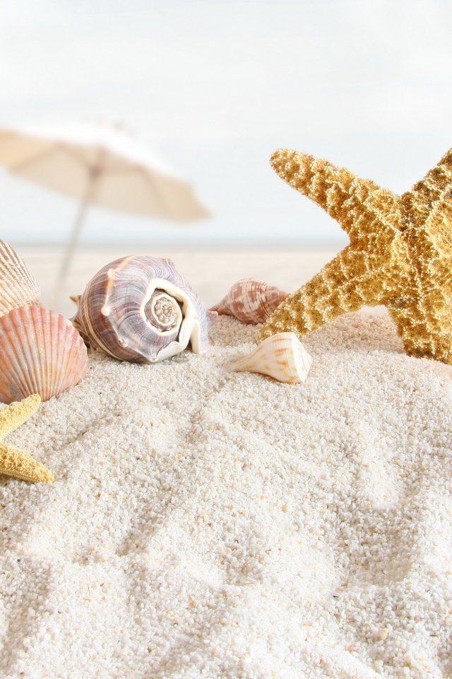 Обои берег, пляжный натюрморт, стиль, море, песок, пляж, ракушки, зонтик, морские звезды, shore, beach still life, style, sea, sand, beach, shell, umbrella, starfish разрешение 2880x1620 Загрузить