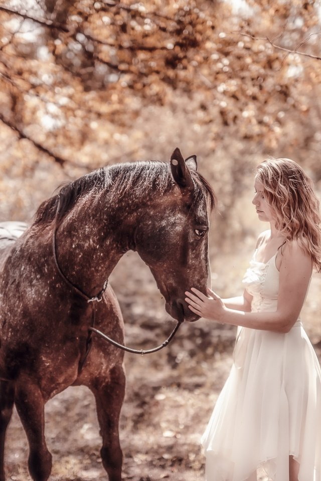 Обои природа, девушка, конь, nature, girl, horse разрешение 2560x1707 Загрузить