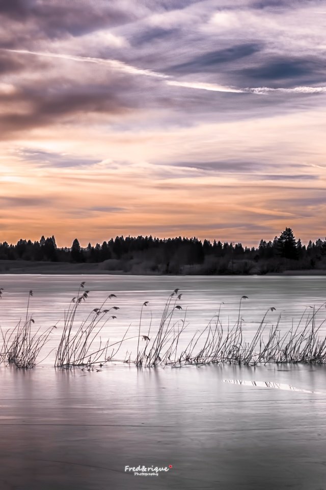 Обои озеро, закат, камыш, lake, sunset, reed разрешение 5472x3080 Загрузить