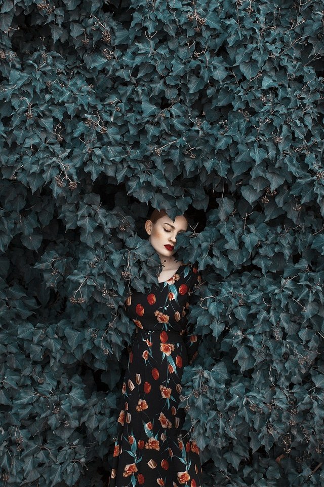 Обои девушка, платье, листва, лицо, girl, dress, foliage, face разрешение 2048x1365 Загрузить