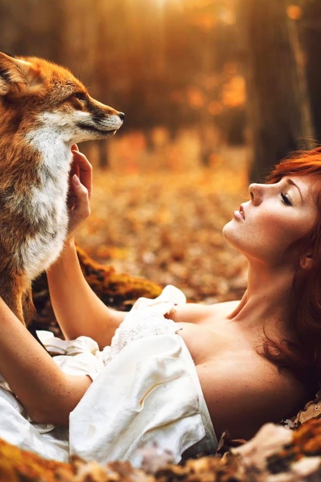 Обои лес, животные, осень, девушки, лиса, рыжеволосая, forest, animals, autumn, girls, fox, redhead разрешение 1920x1200 Загрузить