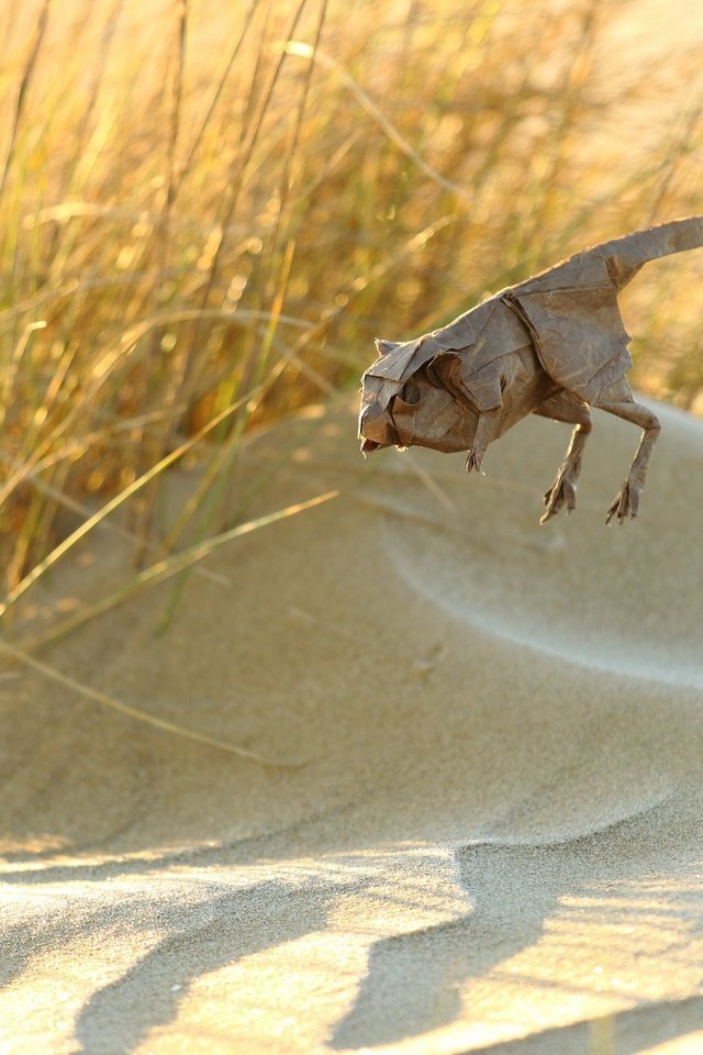 Обои бумага, оригами, животное, jerbo pigmeo de baluchistan, тушканчик, paper, origami, animal, jerboa разрешение 2560x1707 Загрузить