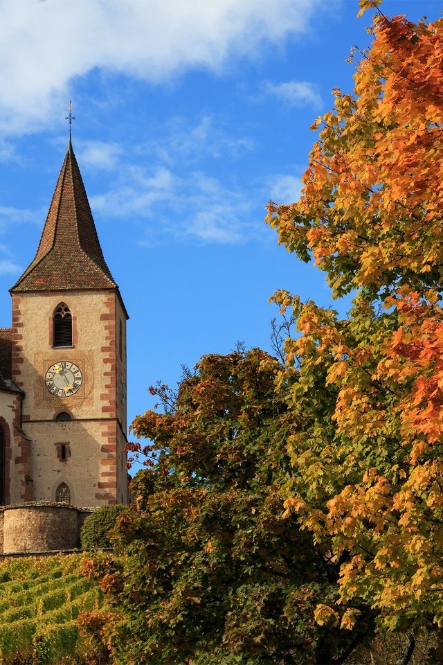 Обои деревья, осень, церковь, франция, hunawihr, church saint-jacques-le-majeur, церковь сен-жак-ле-мажёр, юнавир, trees, autumn, church, france, church of saint-jacques-le-mazher, the hunawihr разрешение 2500x1581 Загрузить