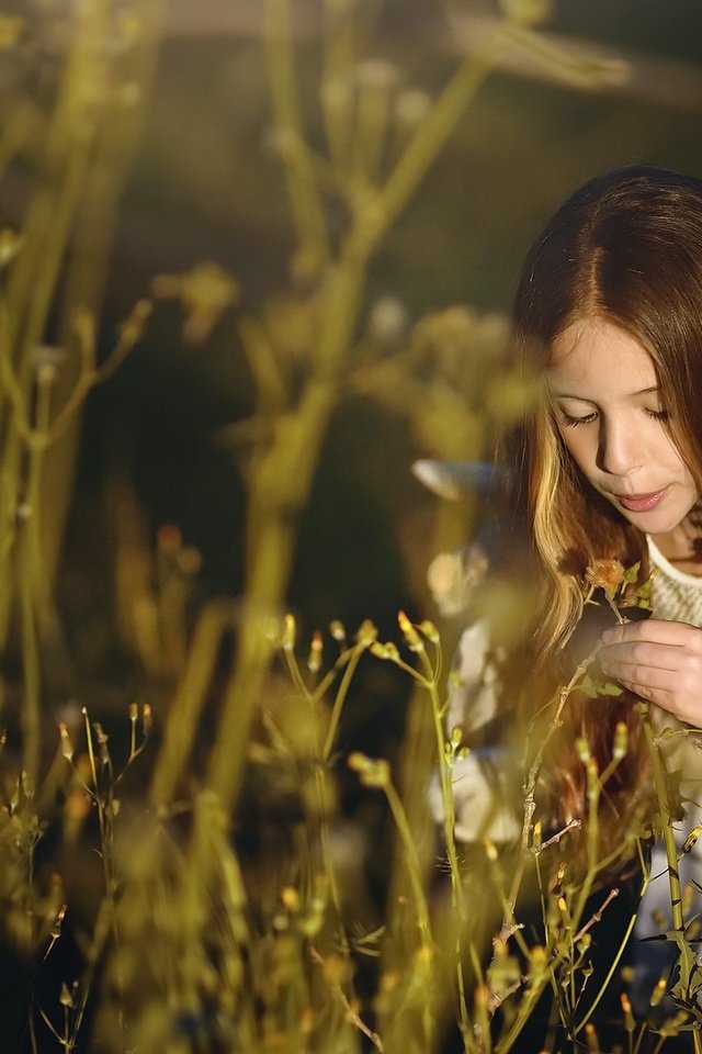 Обои свет, природа, дети, девочка, волосы, лицо, light, nature, children, girl, hair, face разрешение 2048x1367 Загрузить