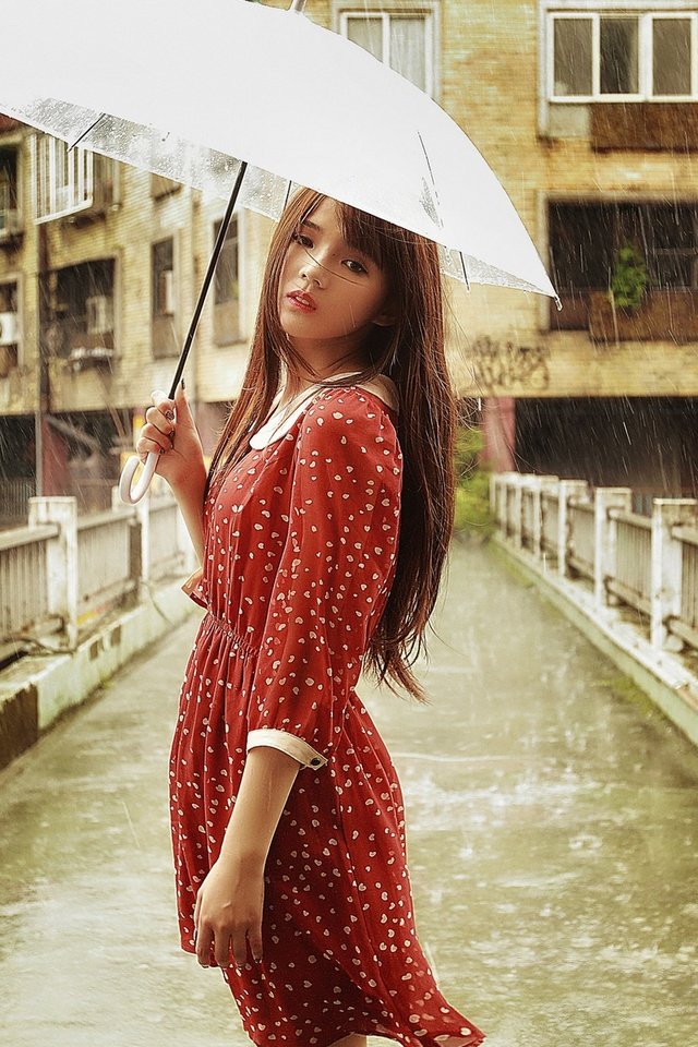 Обои девушка, брюнетка, мост, дождь, зонт, азиатка, girl, brunette, bridge, rain, umbrella, asian разрешение 1920x1200 Загрузить