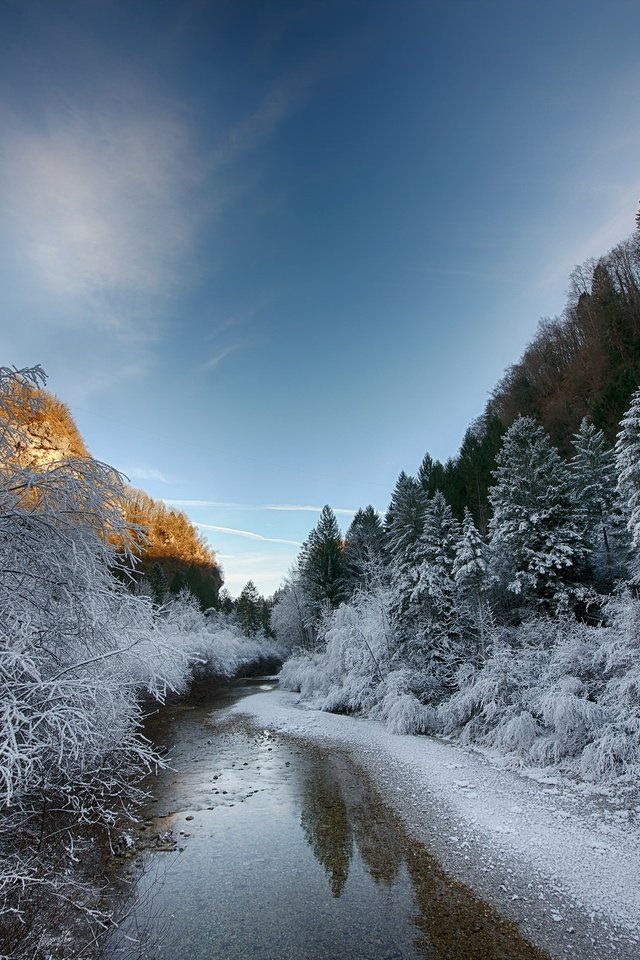 Обои деревья, река, снег, зима, пейзаж, утро, trees, river, snow, winter, landscape, morning разрешение 2033x1301 Загрузить