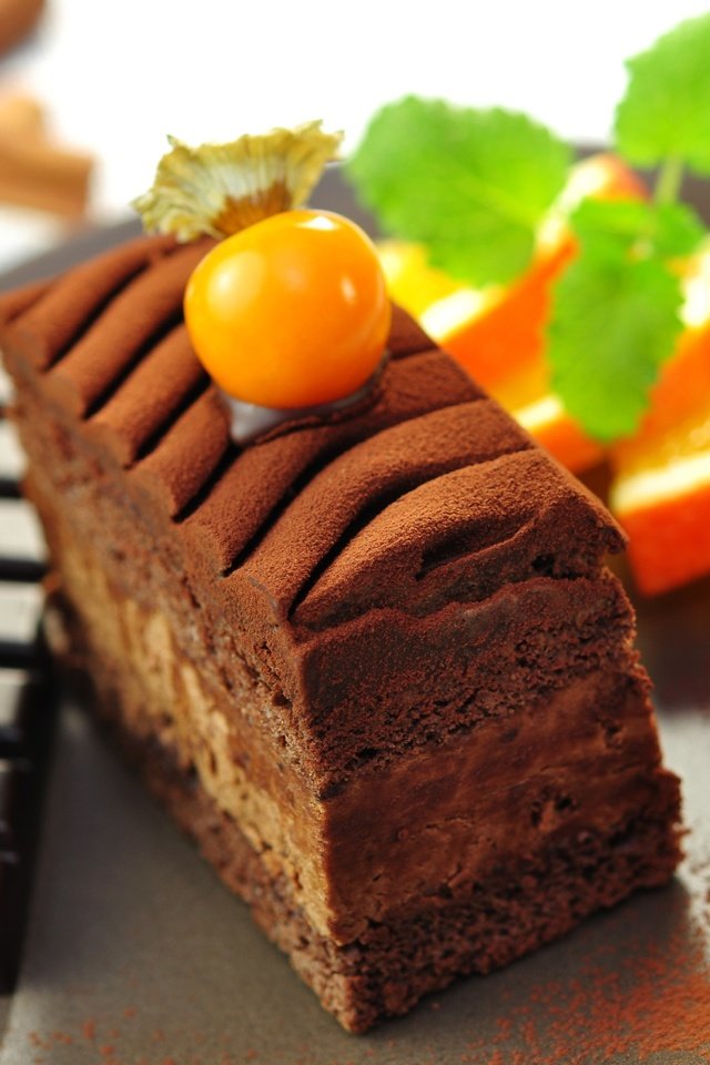 Обои мята, корица, апельсин, шоколад, физалис, пирожное, mint, cinnamon, orange, chocolate, physalis, cake разрешение 2891x1920 Загрузить