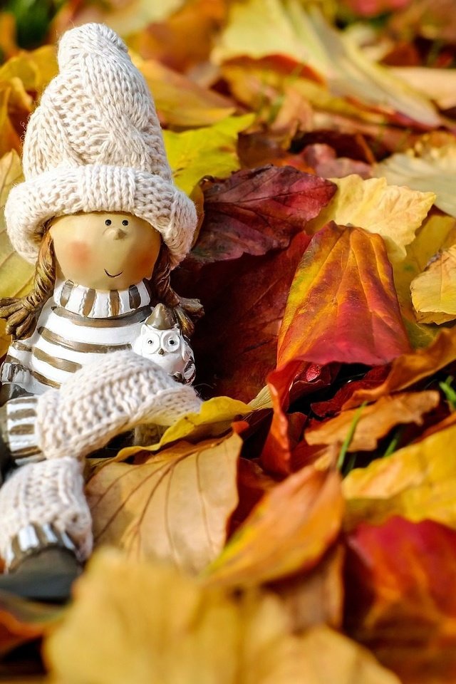 Обои природа, осень, игрушка, кукла, шапочка, фигурка, осенние листья, nature, autumn, toy, doll, cap, figure, autumn leaves разрешение 1920x1280 Загрузить