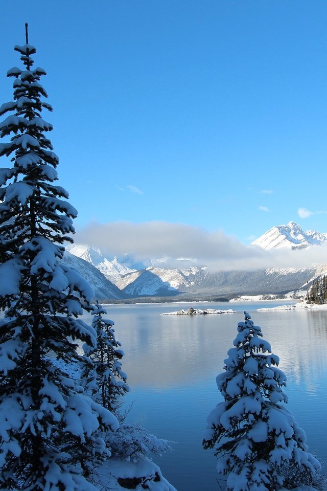 Обои небо, деревья, озеро, горы, снег, зима, ели, the sky, trees, lake, mountains, snow, winter, ate разрешение 2560x1600 Загрузить