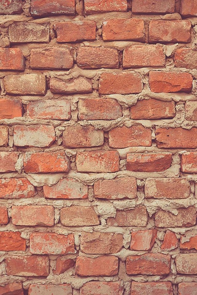 Обои текстура, стена, кирпичи, поверхность, кирпичная стена, texture, wall, bricks, surface, brick wall разрешение 1920x1280 Загрузить