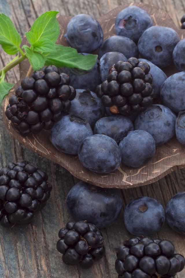 Обои мята, ягоды, черника, тарелка, ежевика, mint, berries, blueberries, plate, blackberry разрешение 4608x3456 Загрузить