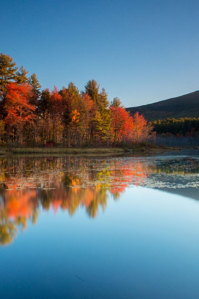 Обои небо, деревья, озеро, горы, природа, отражение, осень, the sky, trees, lake, mountains, nature, reflection, autumn разрешение 1920x1200 Загрузить