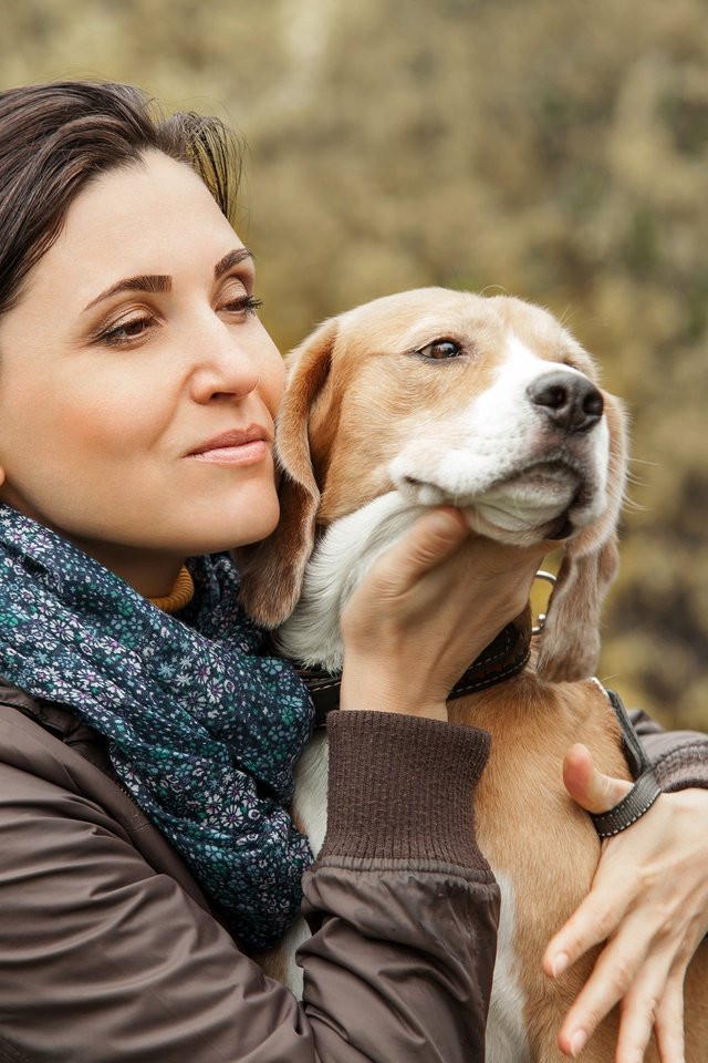 Обои девушка, фон, брюнетка, собака, куртка, платок, боке, бигль, girl, background, brunette, dog, jacket, shawl, bokeh, beagle разрешение 3000x2091 Загрузить