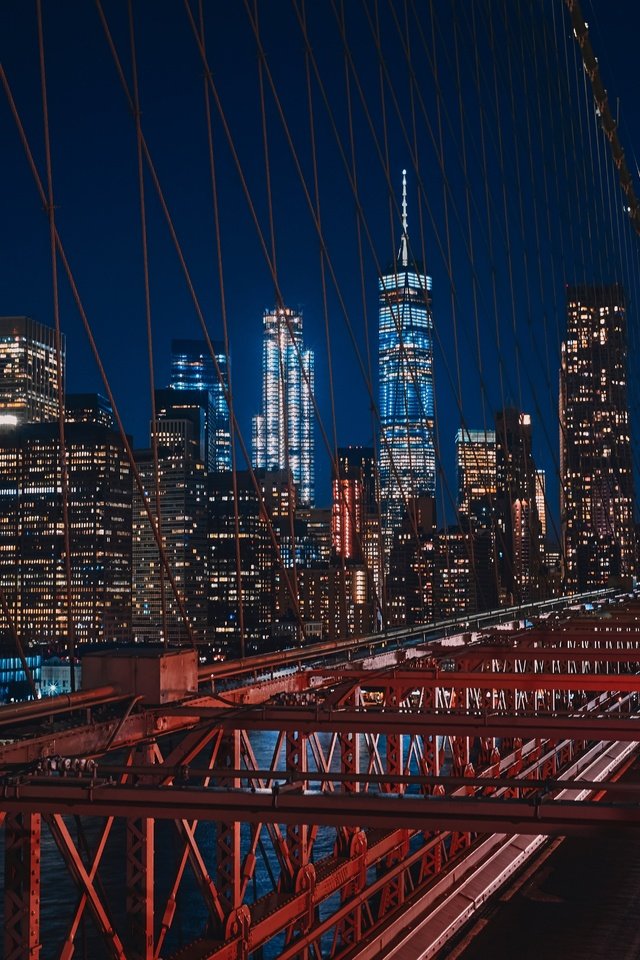 Обои ночь, огни, небоскребы, нью-йорк, здания, бруклинский мост, night, lights, skyscrapers, new york, building, brooklyn bridge разрешение 5899x3933 Загрузить