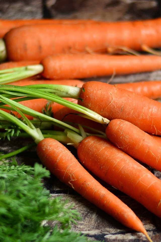 Обои урожай, овощи, морковь, harvest, vegetables, carrots разрешение 5561x2821 Загрузить