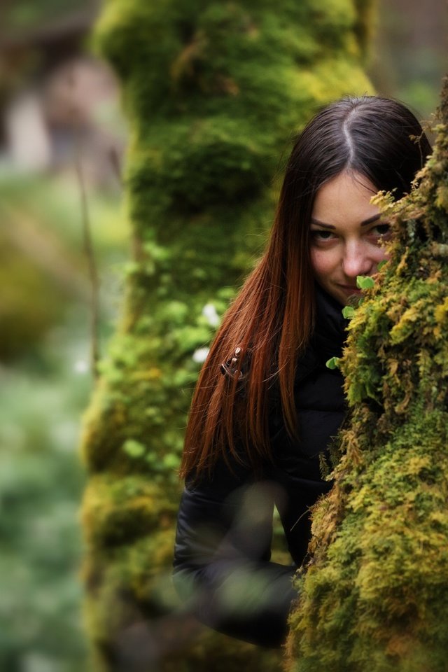 Обои деревья, девушка, взгляд, мох, волосы, trees, girl, look, moss, hair разрешение 2048x1292 Загрузить