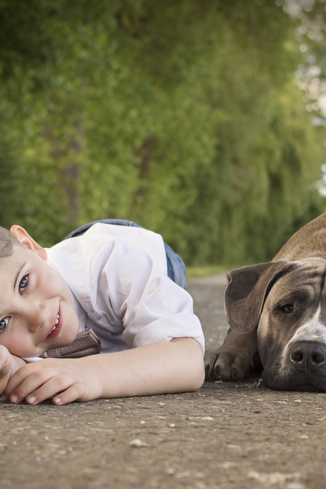 Обои улыбка, собака, ребенок, мальчик, друзья, smile, dog, child, boy, friends разрешение 6000x4000 Загрузить