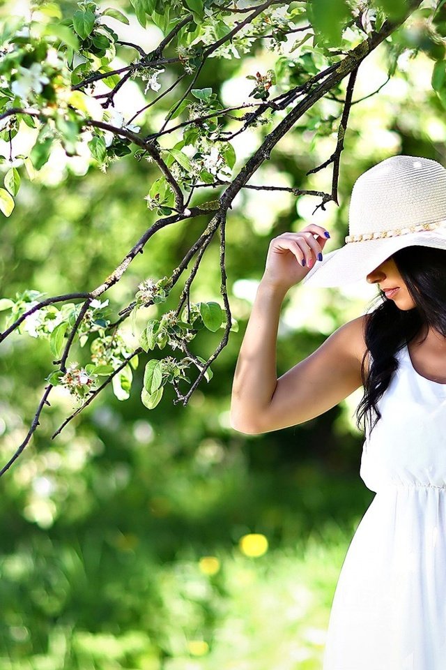 Обои девушка, сад, шляпа, белое платье, girl, garden, hat, white dress разрешение 1920x1200 Загрузить