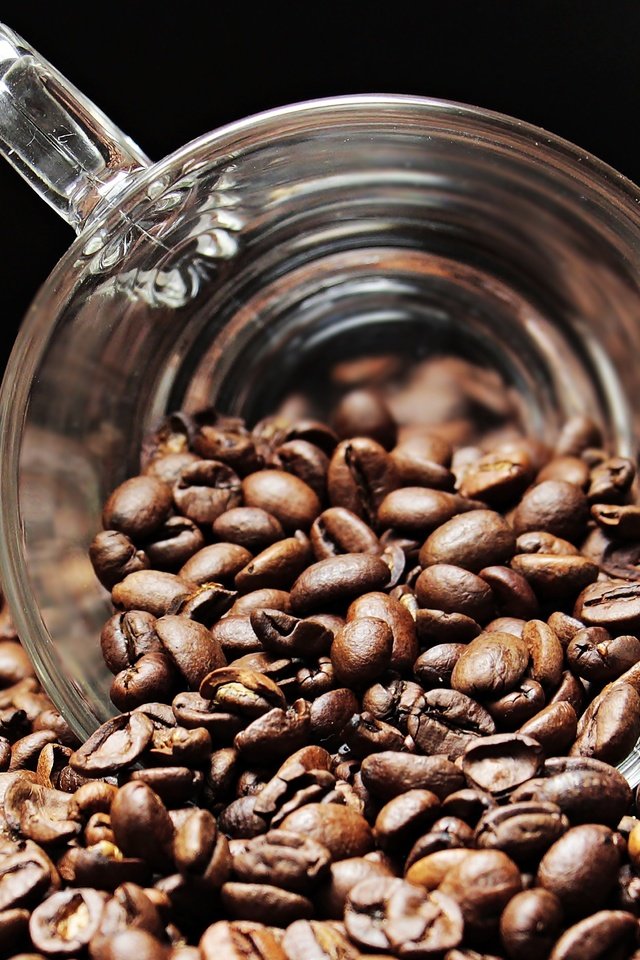 Обои кофе, черный фон, чашка, кофейные зерна, coffee, black background, cup, coffee beans разрешение 5235x3278 Загрузить