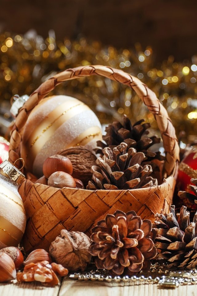 Обои новый год, мишура, шары, грецкие орехи, орехи, корзина, рождество, шишки, елочные украшения, фундук, new year, tinsel, balls, walnuts, nuts, basket, christmas, bumps, christmas decorations, hazelnuts разрешение 2880x1800 Загрузить