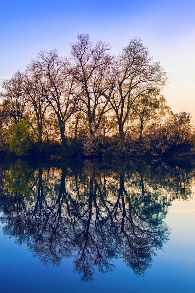 Обои небо, деревья, озеро, природа, отражение, the sky, trees, lake, nature, reflection разрешение 7680x4270 Загрузить