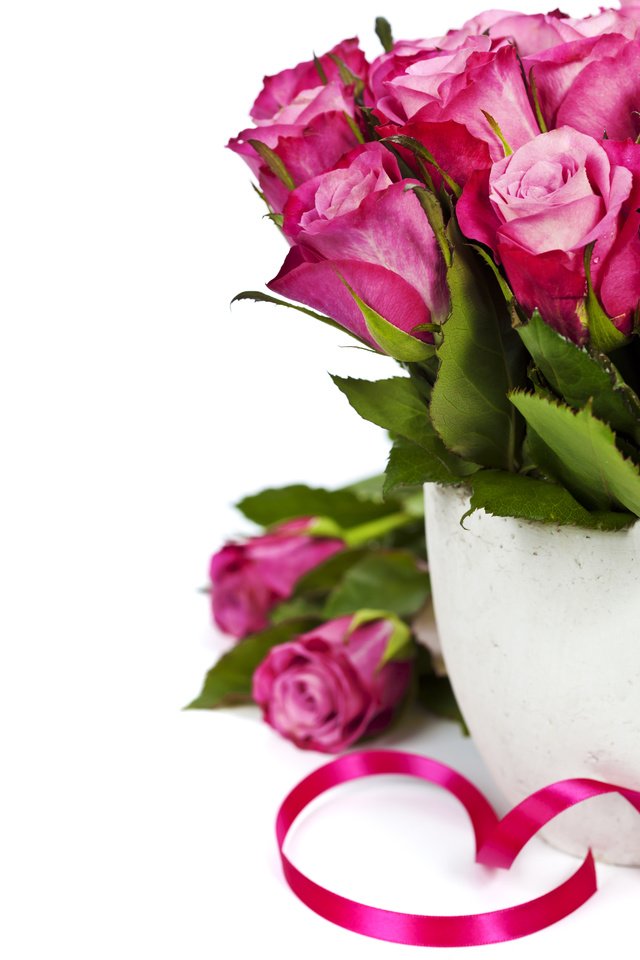 Обои цветы, бутоны, розы, лепестки, flowers, buds, roses, petals разрешение 5616x5616 Загрузить