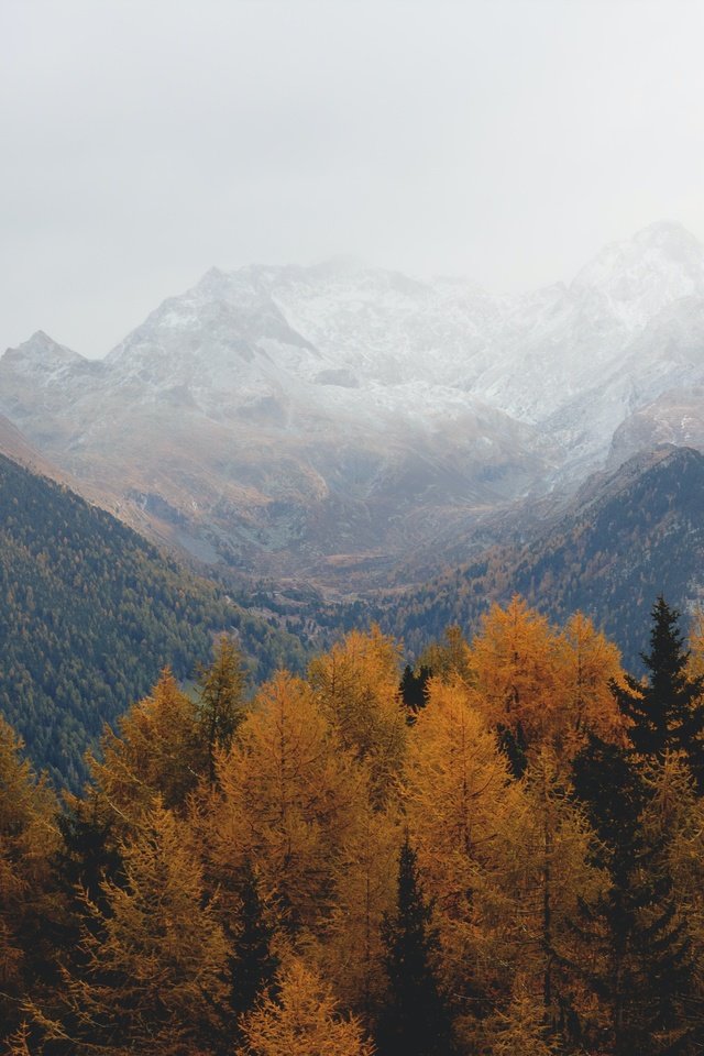 Обои пасмурно, небо, деревья, горы, скалы, природа, лес, осень, дымка, overcast, the sky, trees, mountains, rocks, nature, forest, autumn, haze разрешение 5496x3670 Загрузить