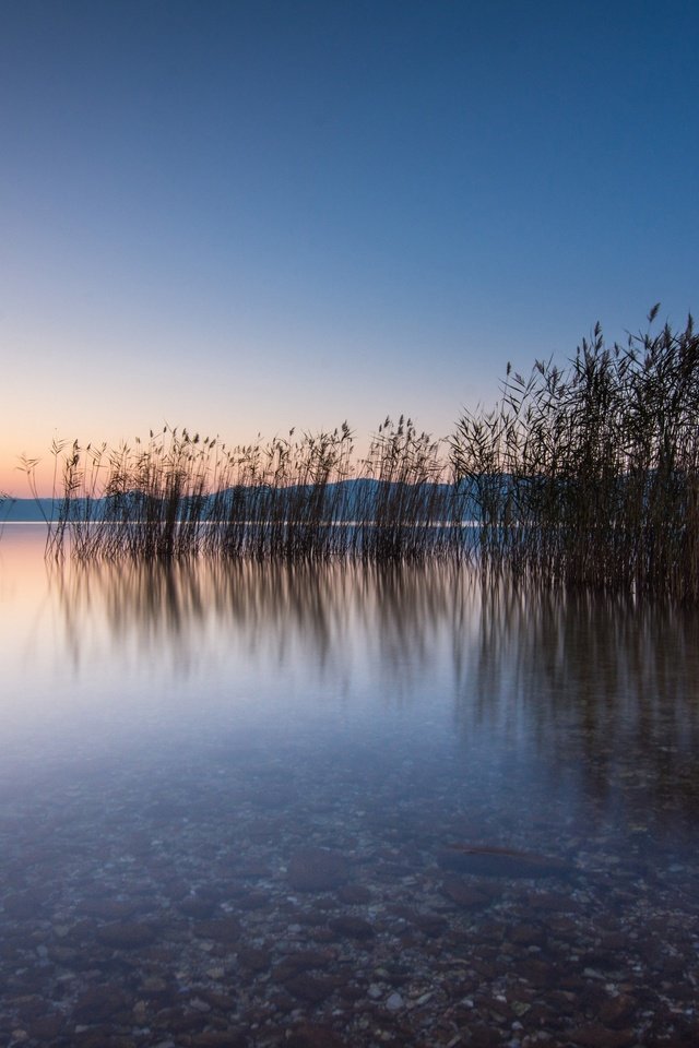 Обои озеро, утро, рассвет, греция, камыш, lake, morning, dawn, greece, reed разрешение 3240x2160 Загрузить